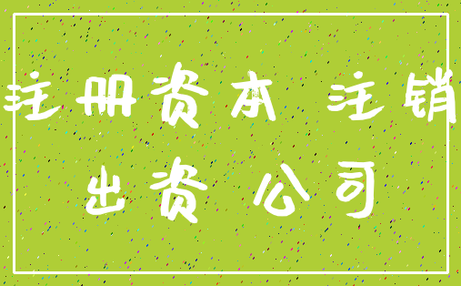 注册资本 注销_出资 公司