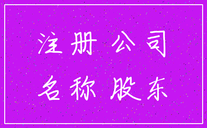注册 公司_名称 股东