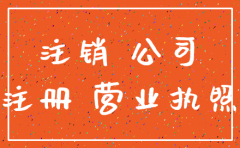 公司住注销的程序的政策规定