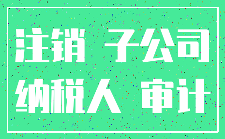 注销 子公司_纳税人 审计