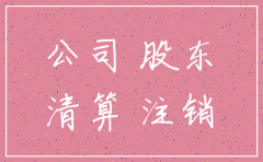 关于注销公司的股东会决议股东一人