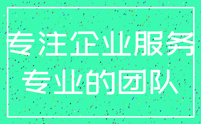 专注企业服务_专业的团队
