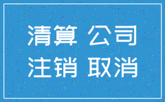 江汉区公司注销流程及费用
