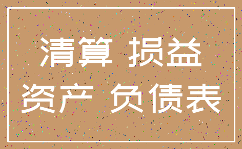 清算 损益_资产 负债表