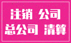 分公司注销债务问题