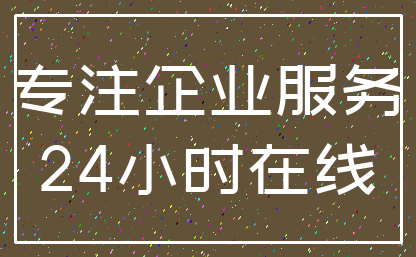 专注企业服务_24小时在线