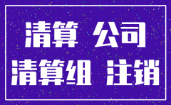 未经营一人公司注销清算报告