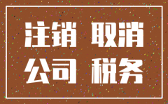 分公司零报税如何进行注销