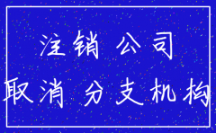 金山区注销公司去哪里