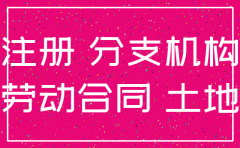 8月28日公司注销规定