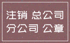 注销分公司需向总公司申请书