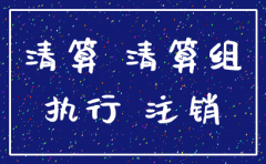 执行立案期间公司注销