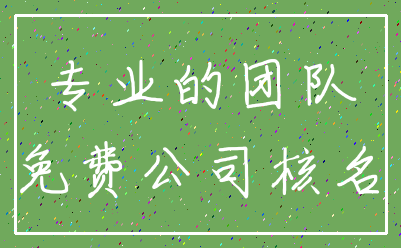 专业的团队_免费公司核名
