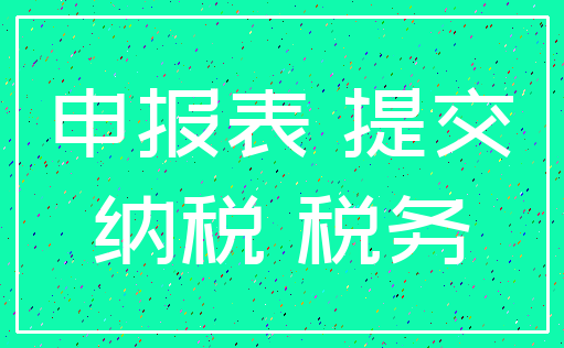申报表 提交_纳税 税务