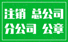 注销分公司需向总公司申请书