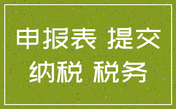申报表 提交_纳税 税务