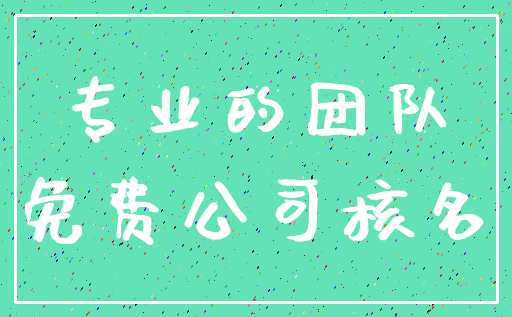 专业的团队_免费公司核名