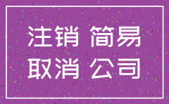 广州公司简易注销的要求