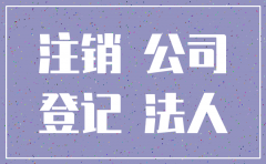 公司注销欠法人款怎么做平