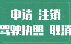 吊肖公司怎么注销公司