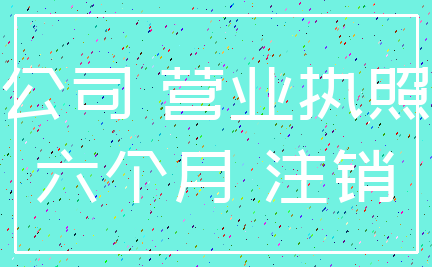 公司 营业执照_六个月 注销