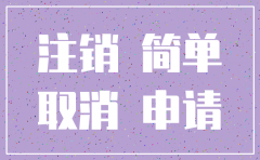 简易注销独资有限公司承诺书
