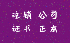 青岛公司注销需要什么材料