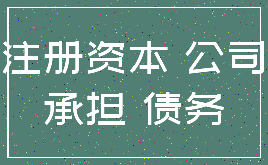 注册资本 公司_承担 债务