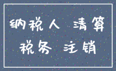 怎么填写注销公司的表格