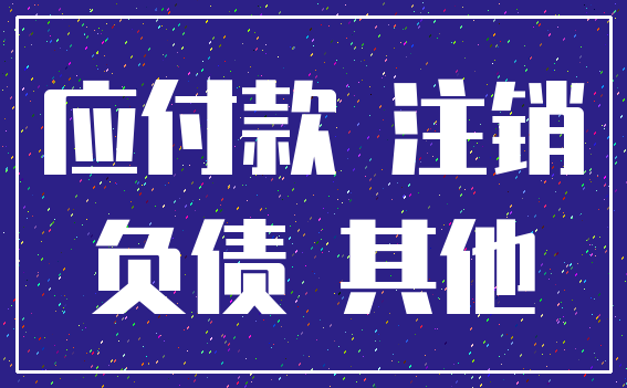 应付款 注销_负债 其他