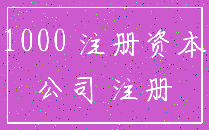 1000 注册资本_公司 注册
