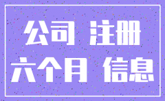 法院可以强制注销公司