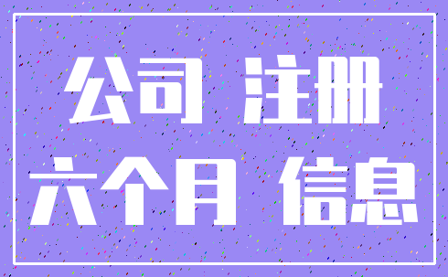 公司 注册_六个月 信息