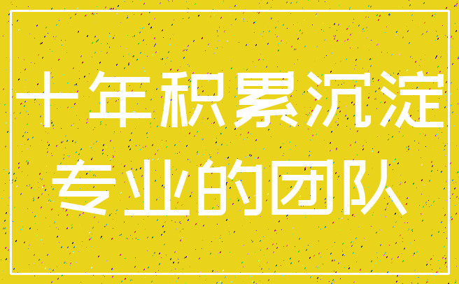 十年积累沉淀_专业的团队