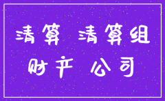 公司注销清算方案模版
