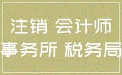 公司注销审计工作总结