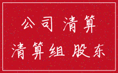 税务注销 公司财产清查报告