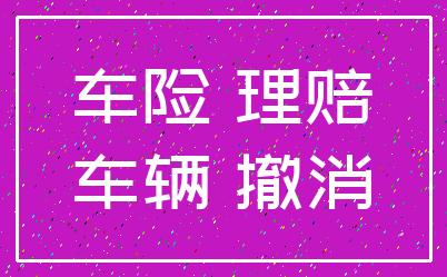 车险 理赔_车辆 撤消