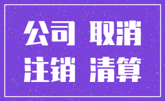 沈阳公司注销流程代办