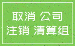 当年成立的公司可以注销吗