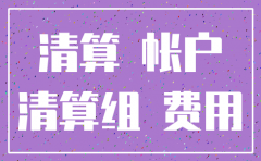 未经营的公司注销清算报告模板