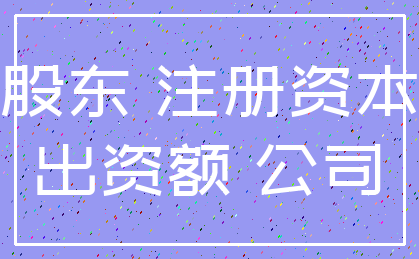 股东 注册资本_出资额 公司