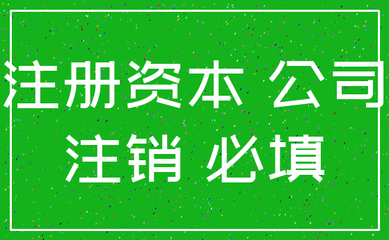 注册资本 公司_注销 必填