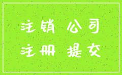 注销对外投资的公司的申请书