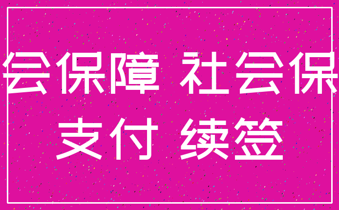 社会保障 社会保险_支付 续签