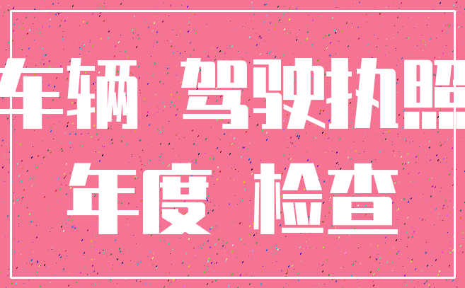 车辆 驾驶执照_年度 检查