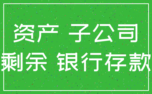 资产 子公司_剩余 银行存款