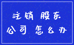 注销公司另一家股东找不到怎么办