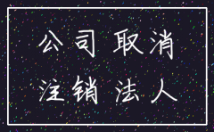 法人自己去注销公司