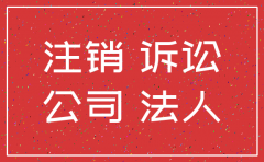 法人去法院起诉注销公司